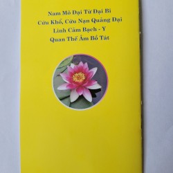 Bạch Y Cứu Khổ