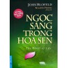 Ngọc Sáng Trong Hoa Sen - The Wheel Of Life