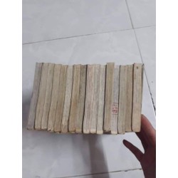 Luật Của Ueki (Trọn bộ 16 tập)