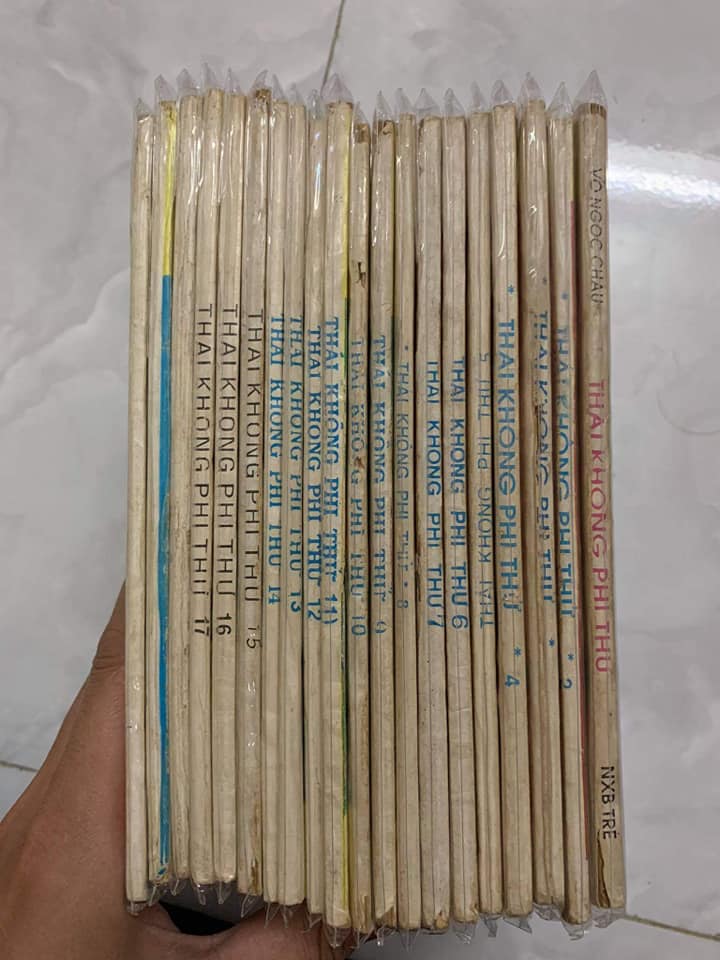 Thái không phi thử ( Trọn bộ 20 tập)