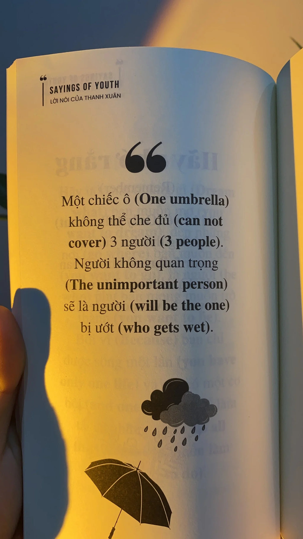 Sayings Of Youth - Lời Nói Của Thanh Xuân