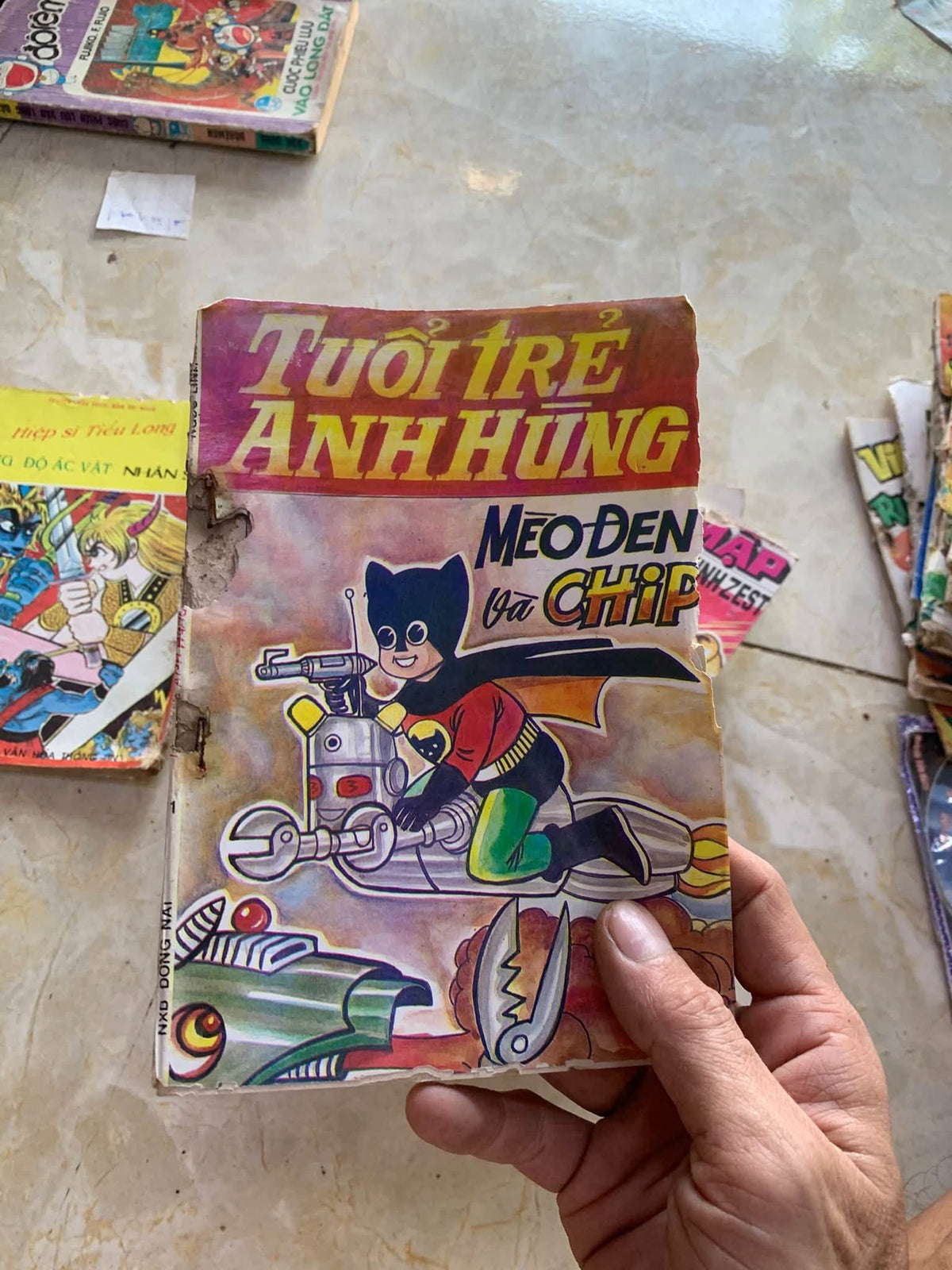 tuổi trẻ anh hùng (18/21 tập)