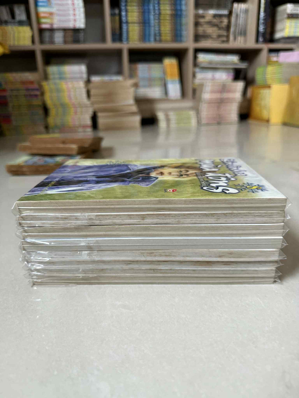 Bản tình ca mùa đông (Trọn bộ 8 tập)