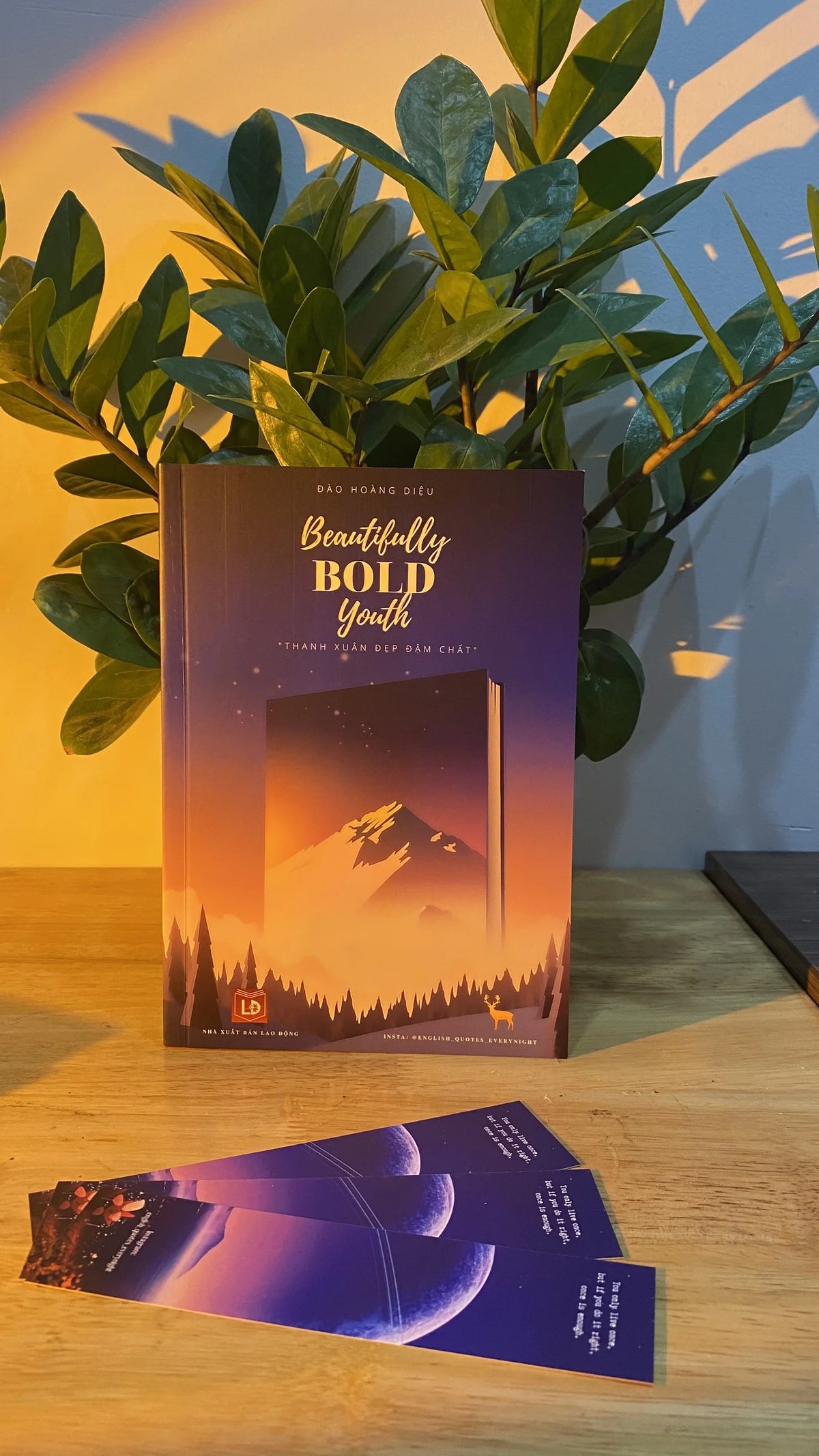 Beautifully Bold Youth - Thanh Xuân Đẹp Đậm Chất