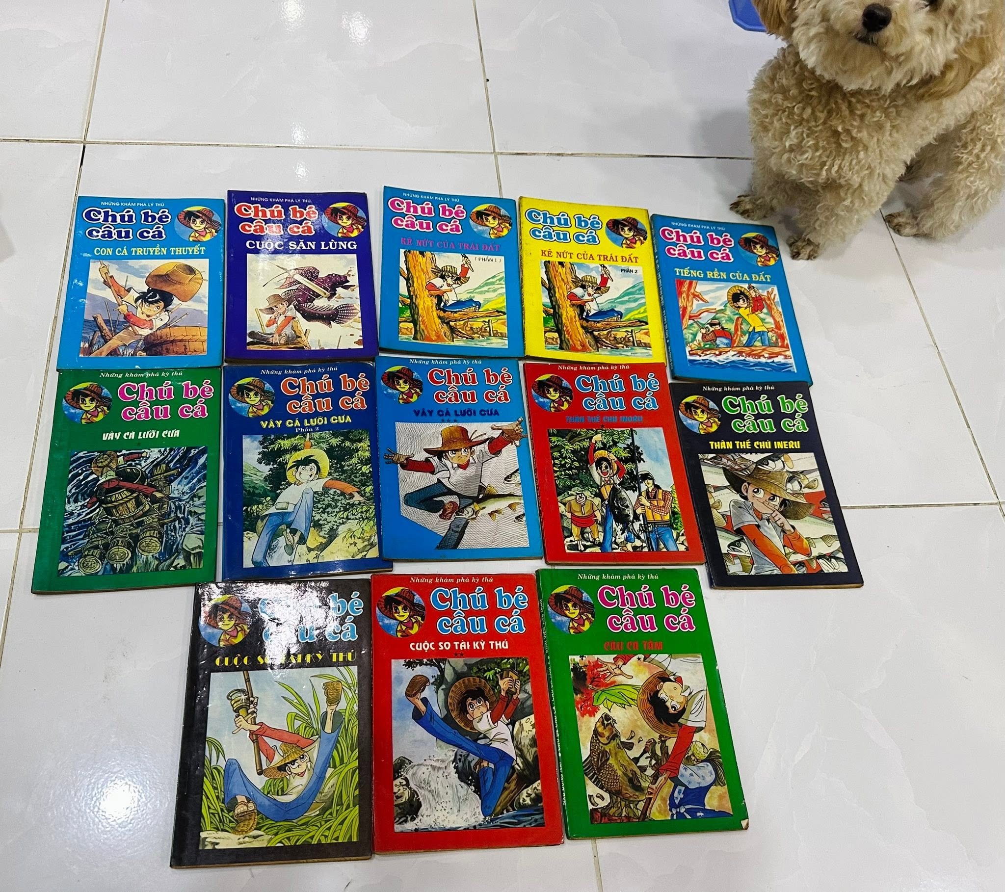 Chú bé câu cá (Trọn bộ 25 tập)