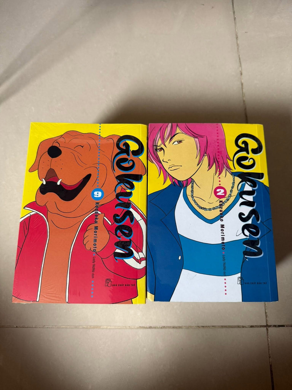Gokusen (Trọn bộ 15 tập)