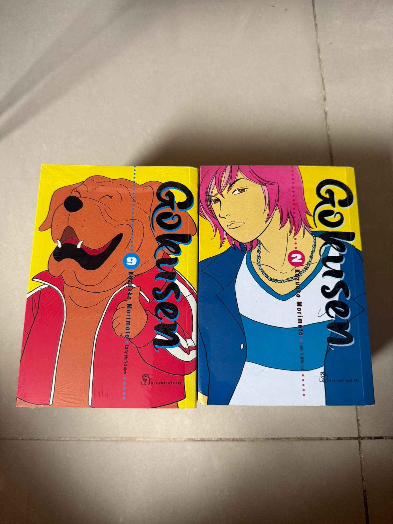 Gokusen (Trọn bộ 15 tập)