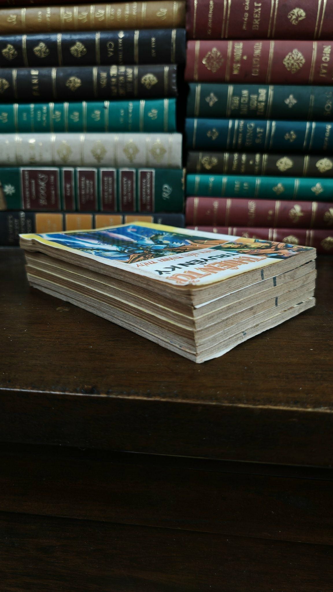 Thiên tử truyền kỳ (Trọn bộ 6 Tập)
