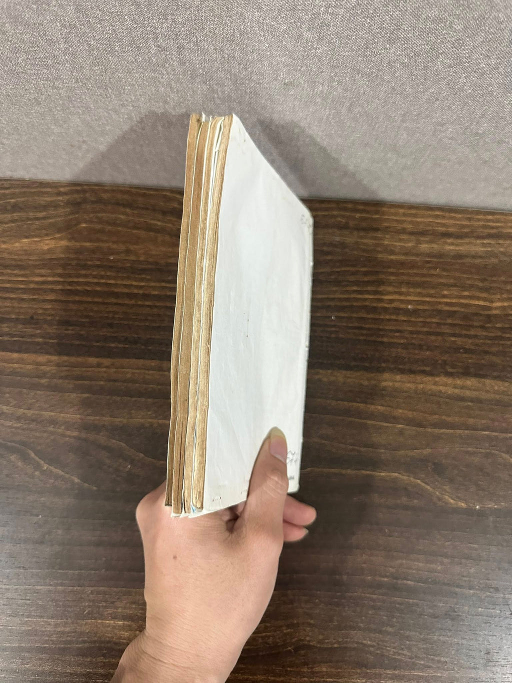 Chú bé hành tinh lạ (Trọn bộ 5 tập)
