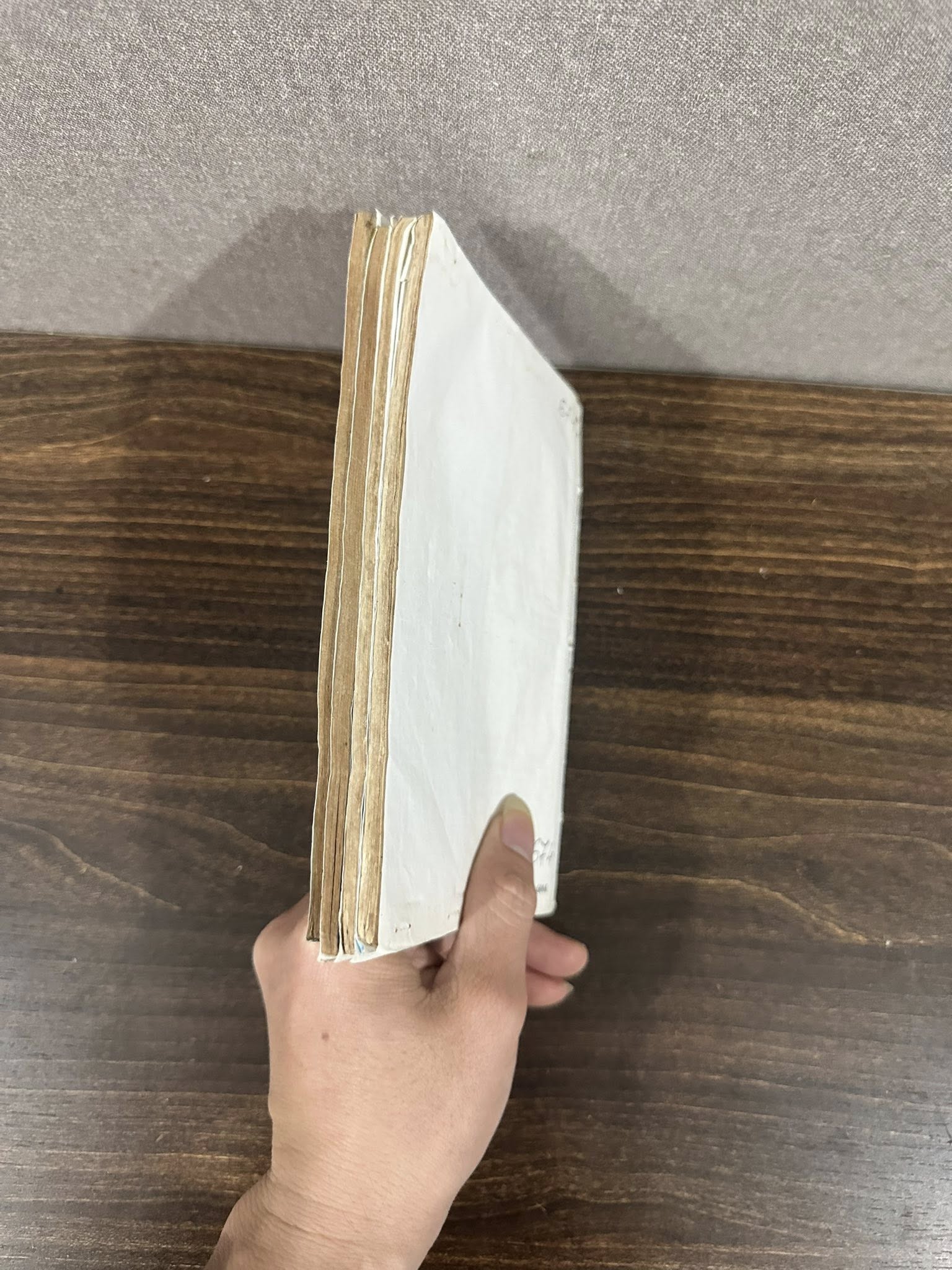 Chú bé hành tinh lạ (Trọn bộ 5 tập)
