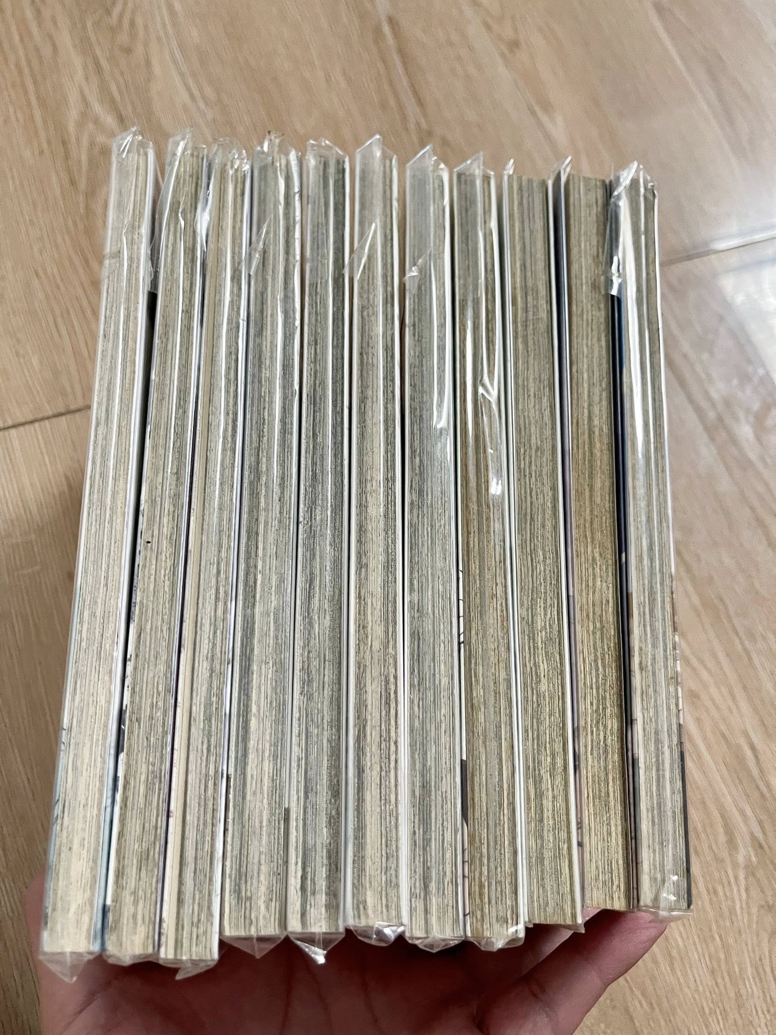Trường ca hành (Trọn bộ 11 tập)