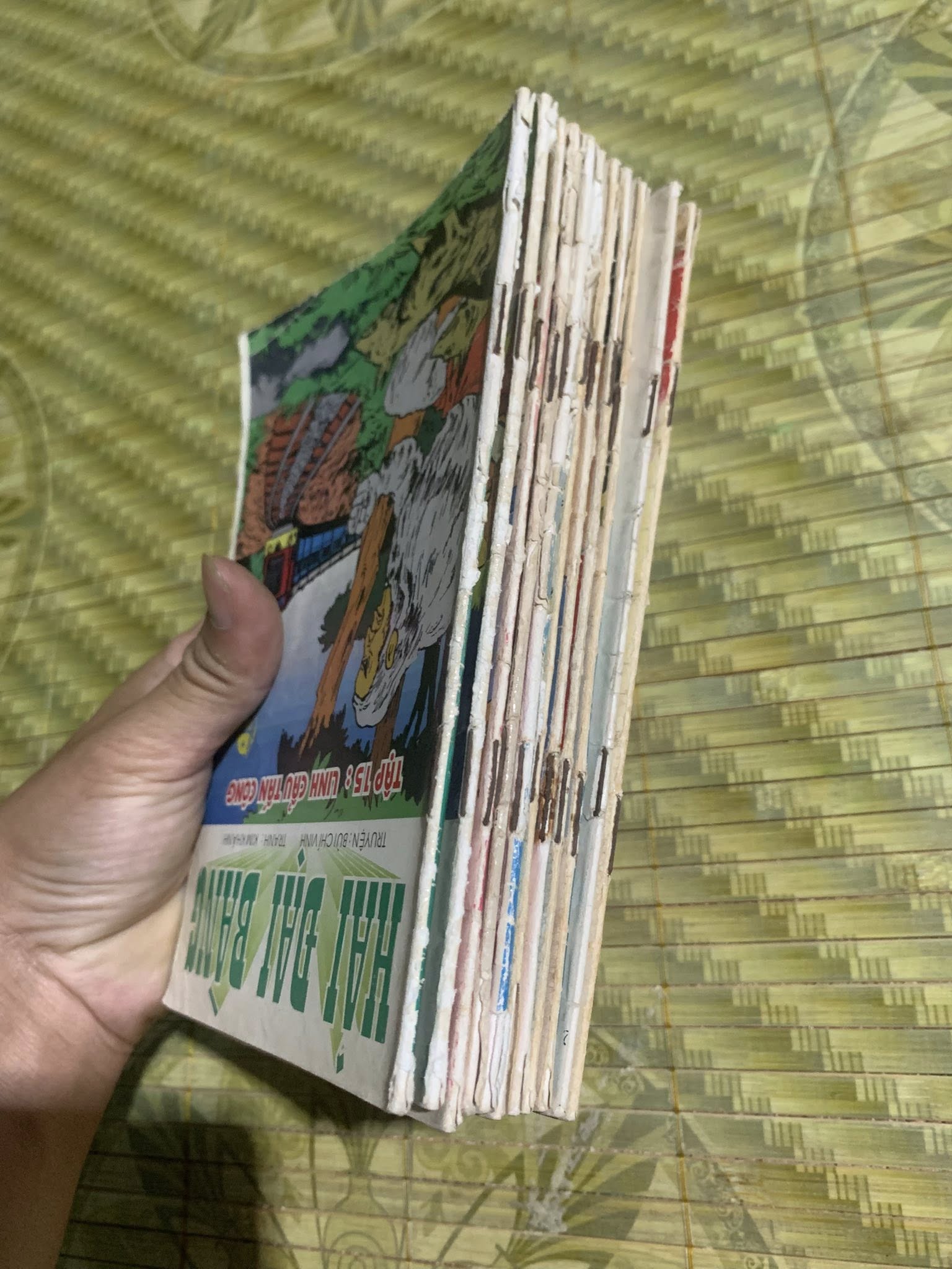 Hải Đại Bàng ( Trọn bộ 11/15 tập)