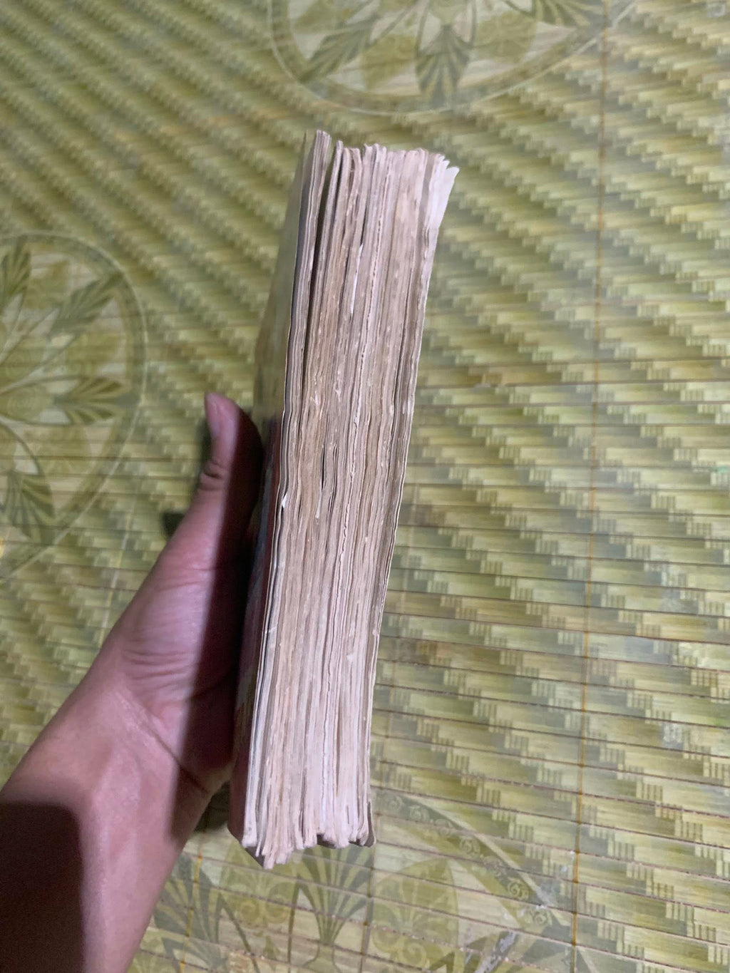 Hải Đại Bàng ( Trọn bộ 11/15 tập)