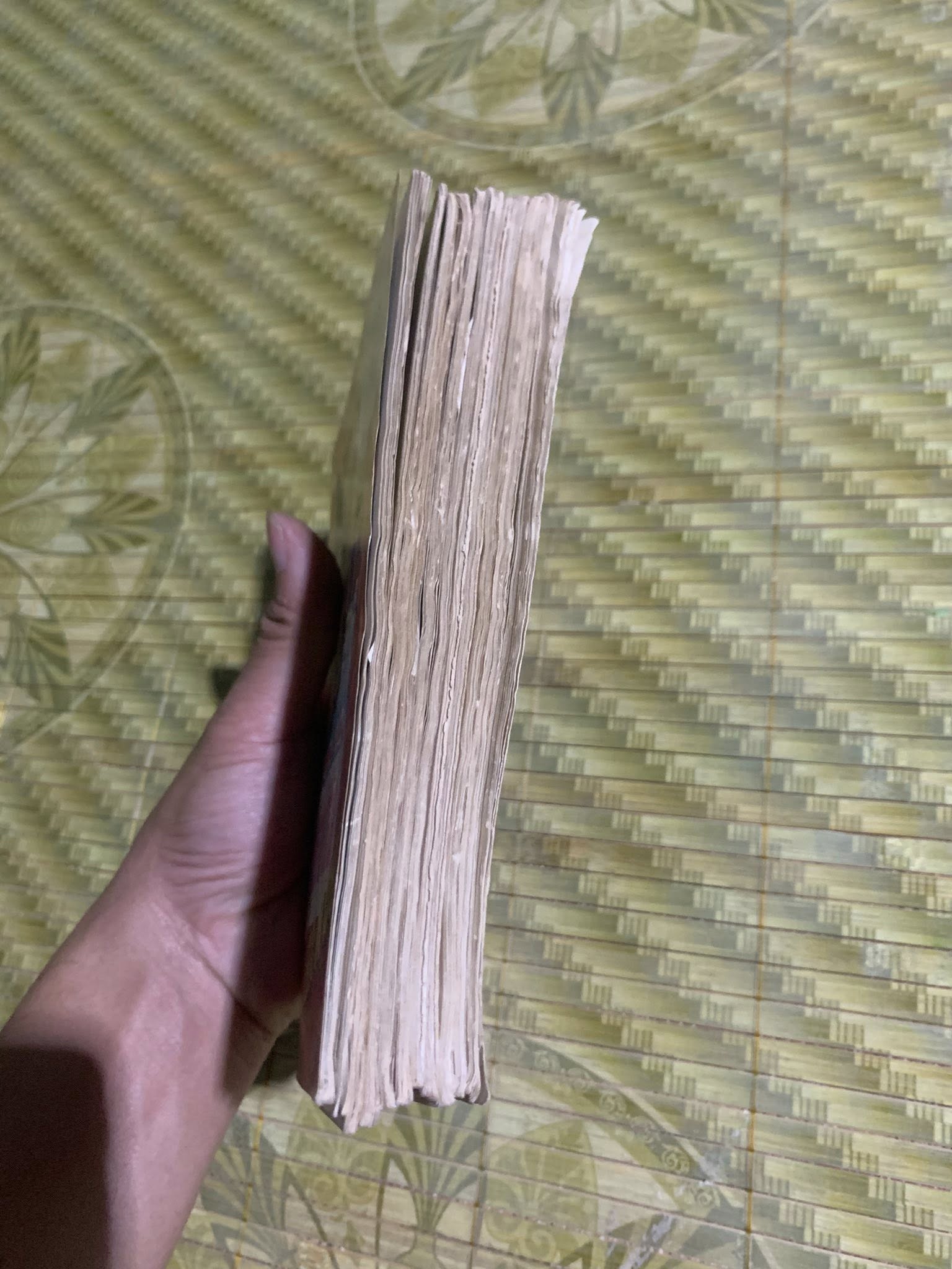 Hải Đại Bàng ( Trọn bộ 11/15 tập)
