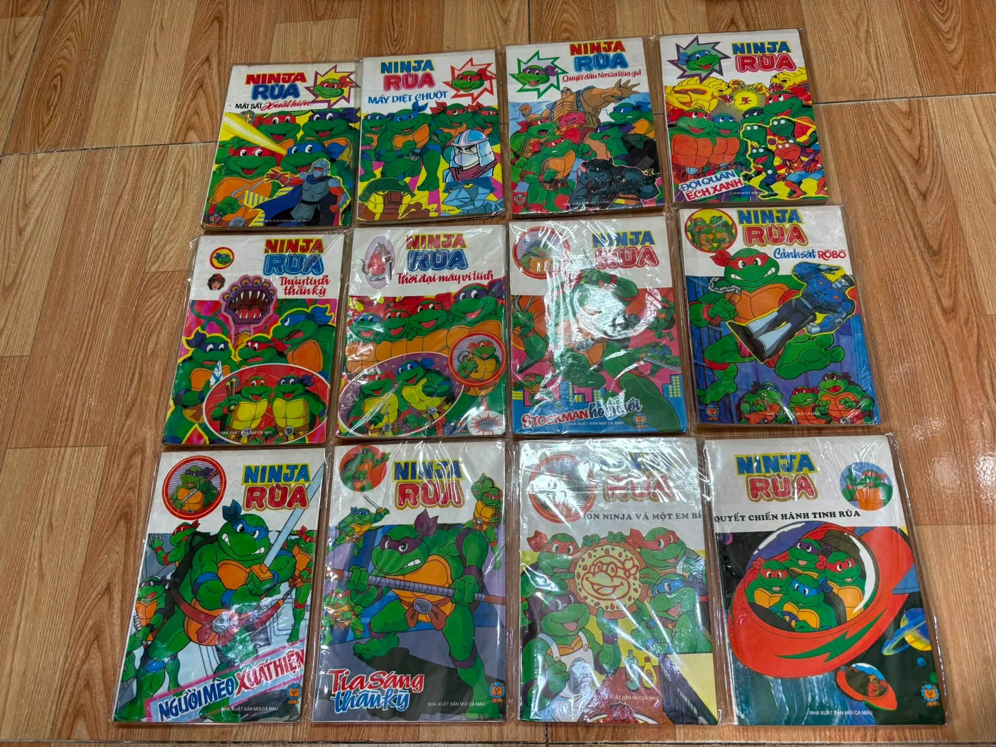 Ninja Rùa (Trọn bộ 12 tập)