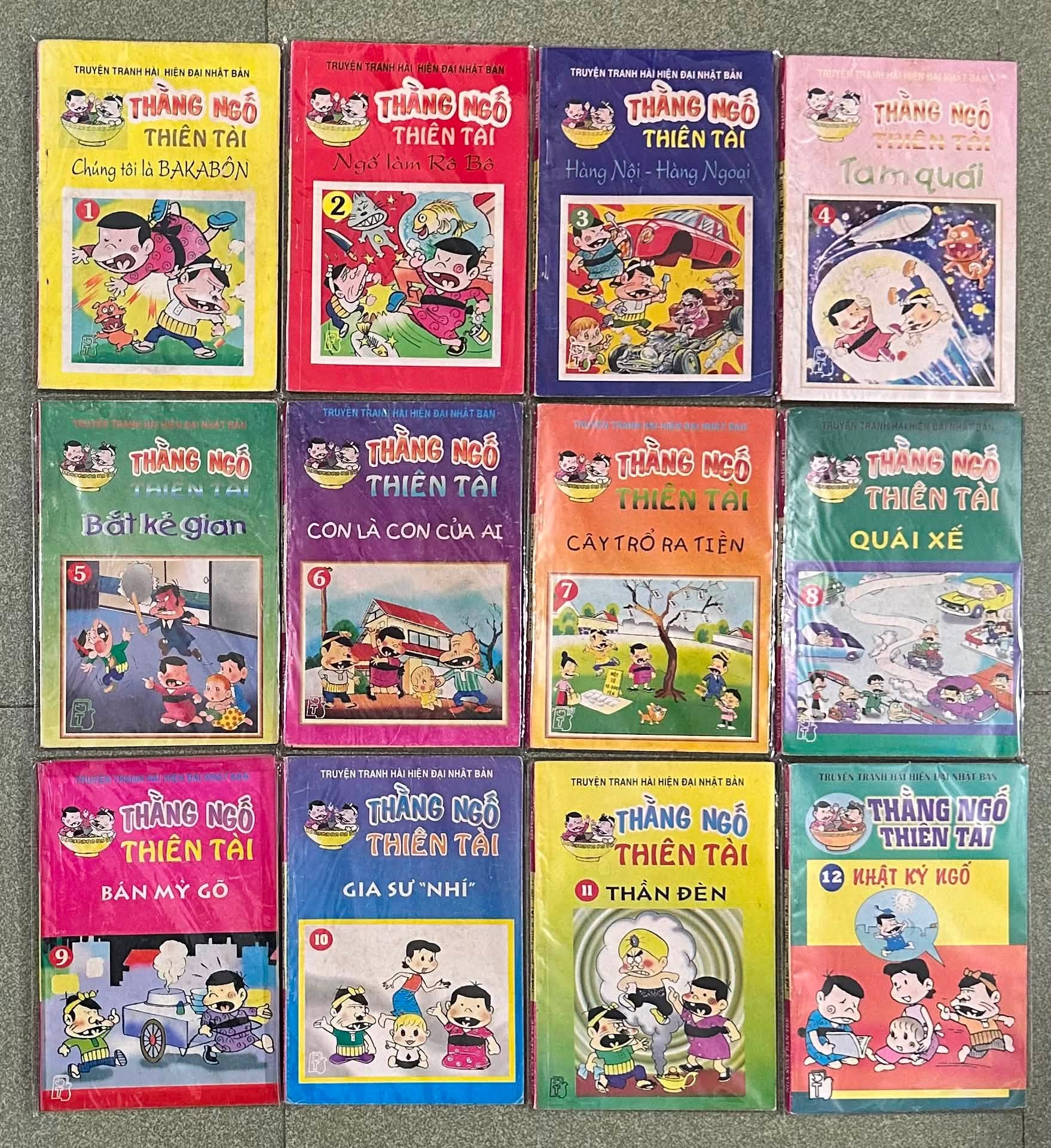 Thằng Ngố Thiên Tài ( 18 / 23 tập)