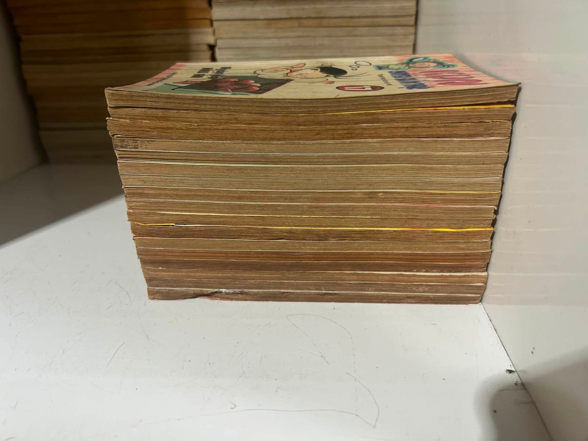 Kun Chuyên Gia Ẩm Thực (Trọn bộ 17 tập)