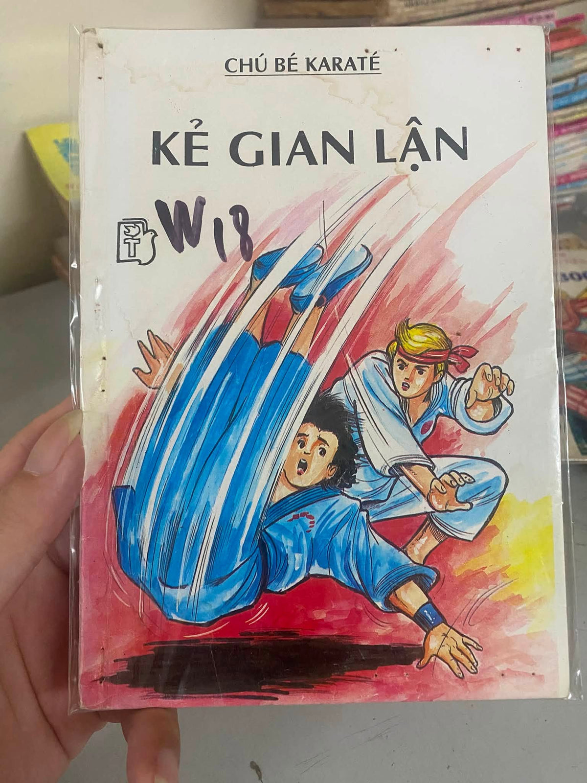 Chú bé Karate (Trọn bộ 17/21 tập)