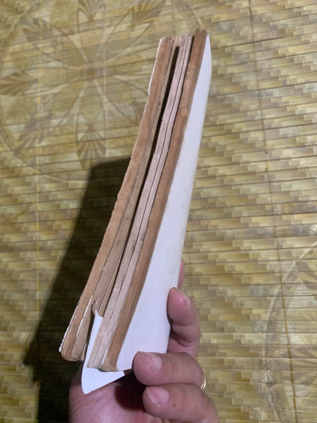 Người Mèo (Trọn bộ 5 tập)