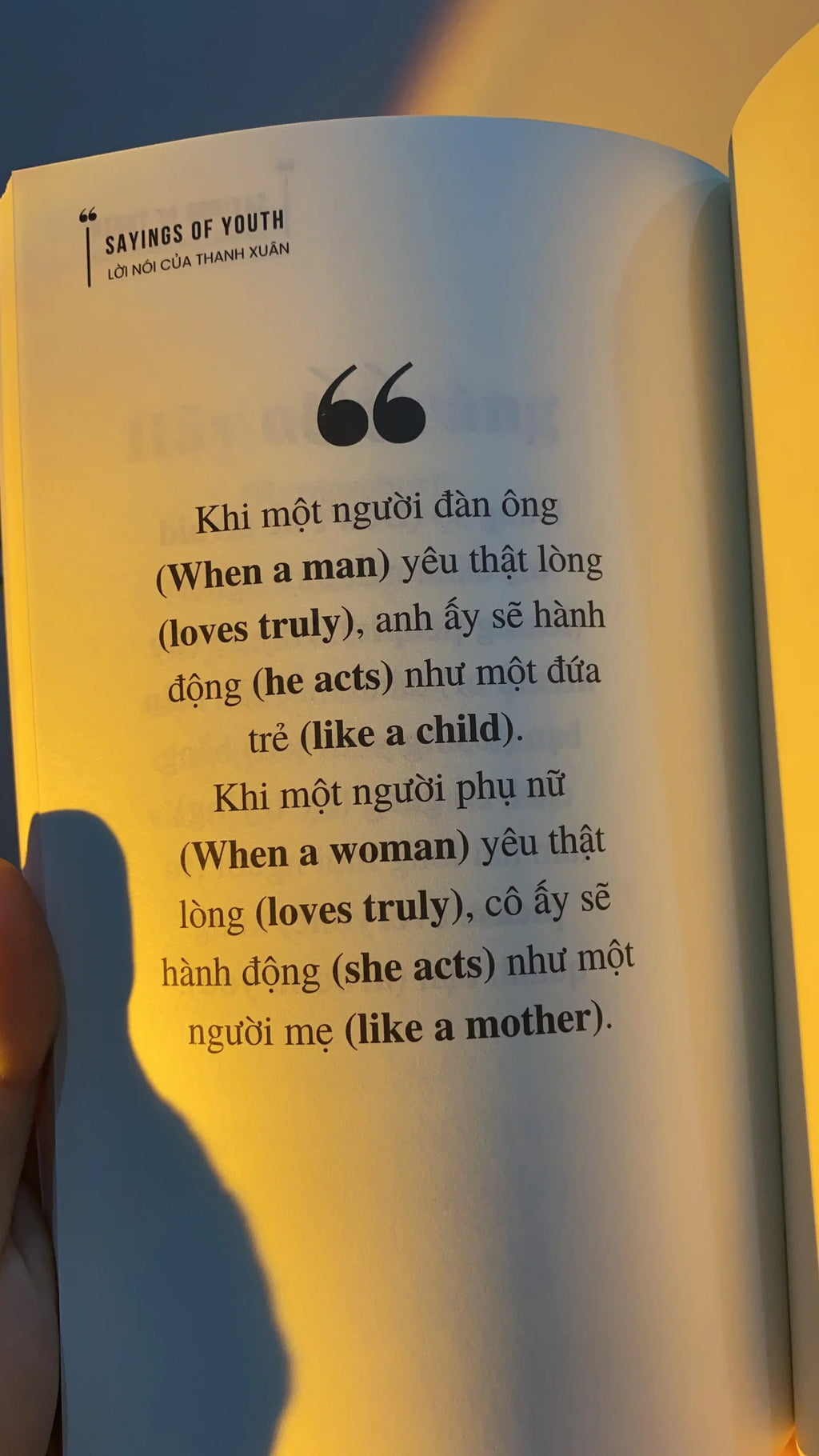 Sayings Of Youth - Lời Nói Của Thanh Xuân