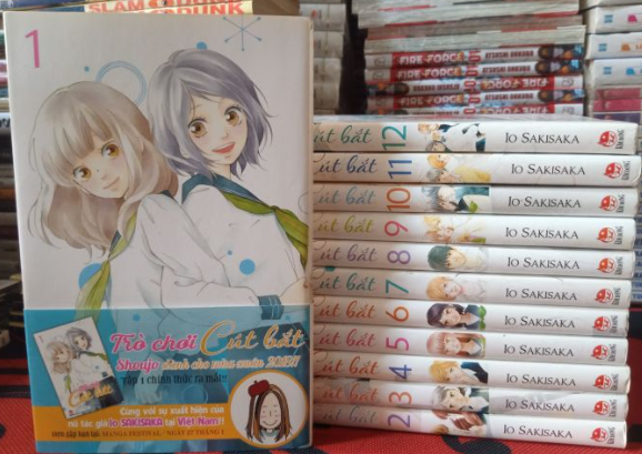 Trò chơi cút bắt (Trọn bộ 12 tập)