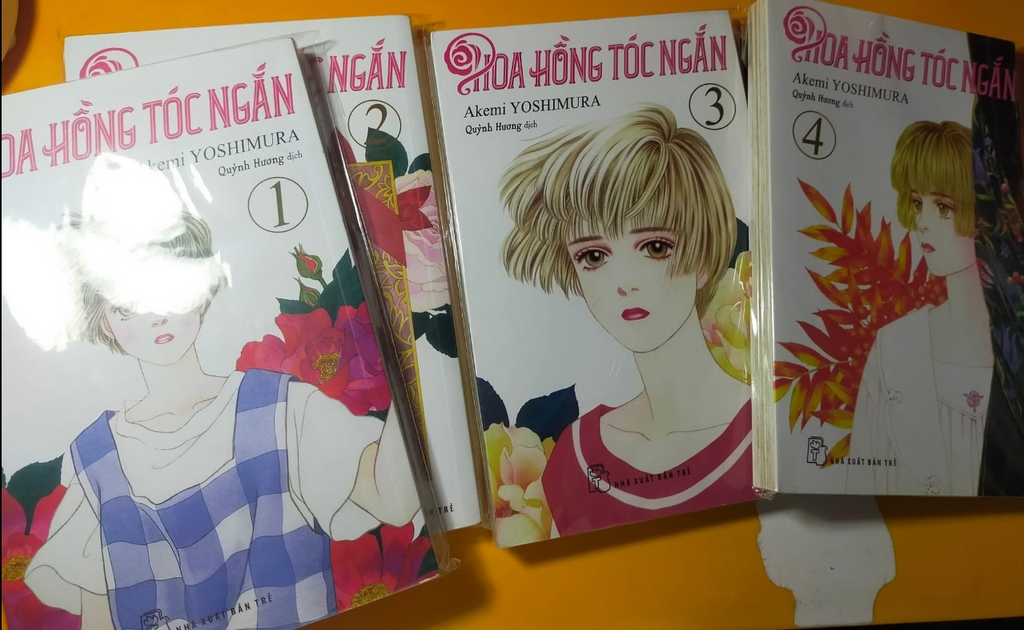 Hoa Hồng Tóc Ngắn (Trọn bộ 16 tập)