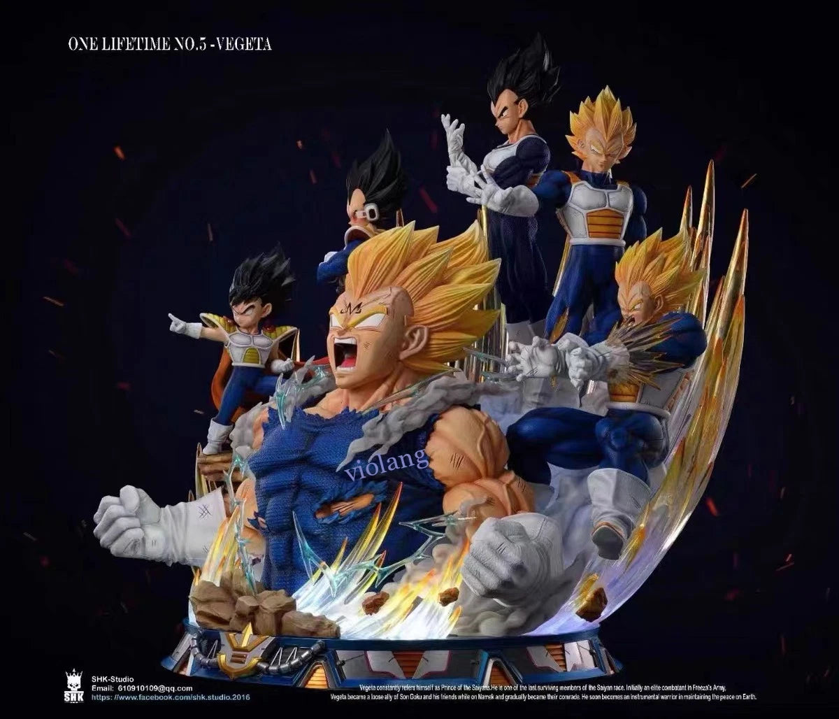 SHK Studio Dragon Ball Vegeta One Lifetime