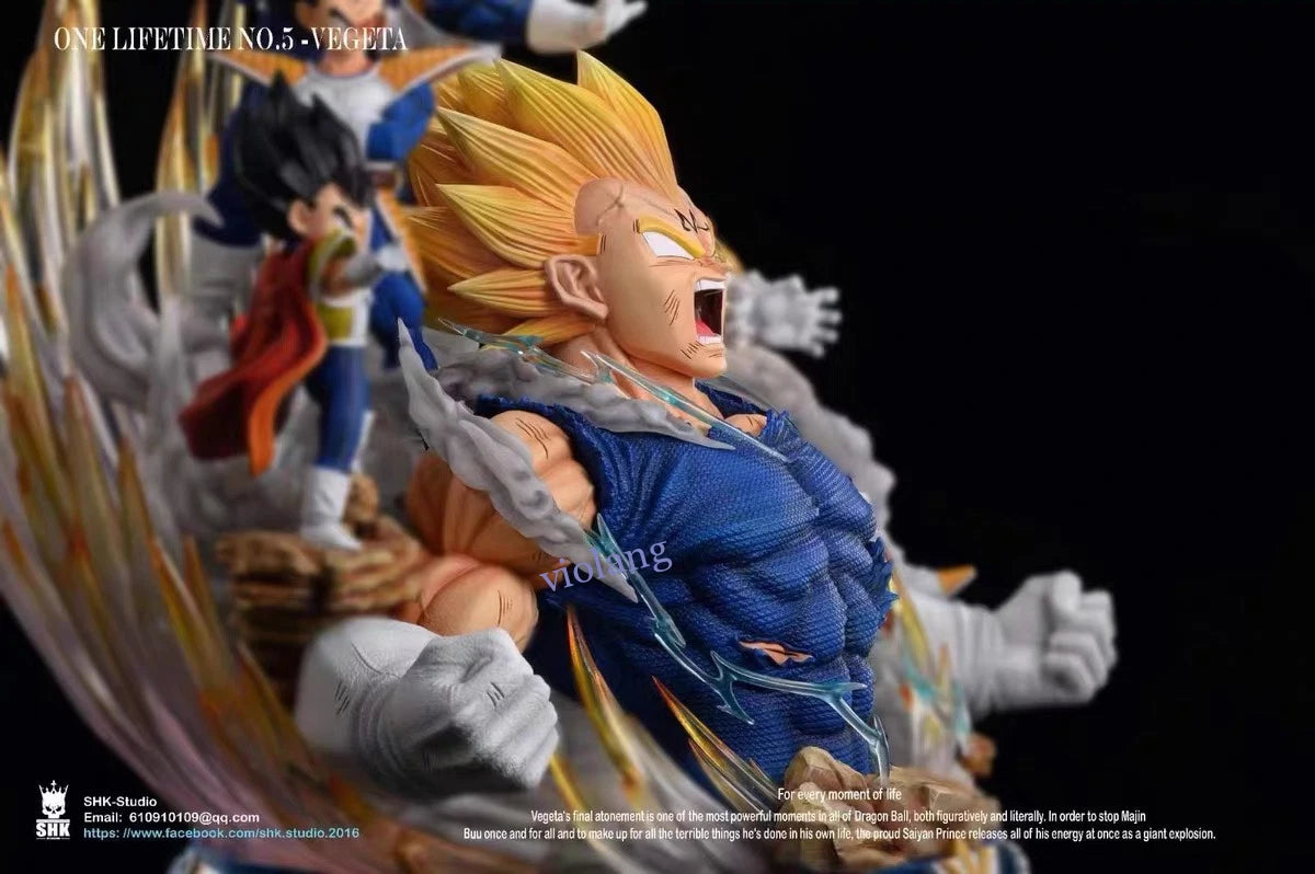SHK Studio Dragon Ball Vegeta One Lifetime