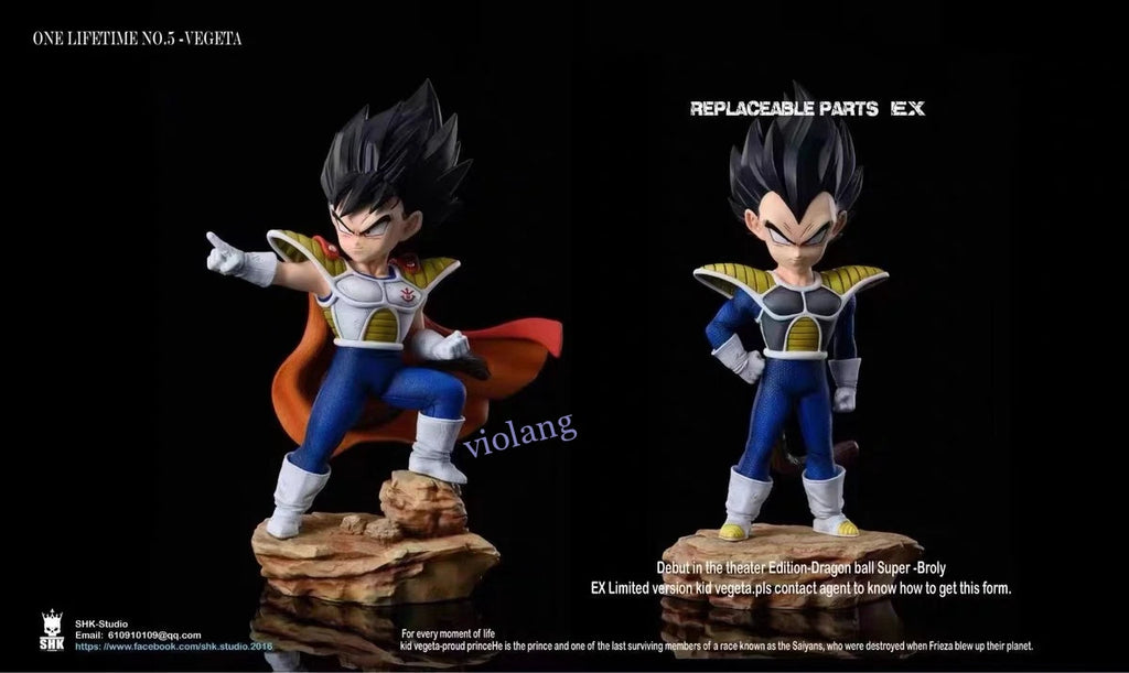 SHK Studio Dragon Ball Vegeta One Lifetime
