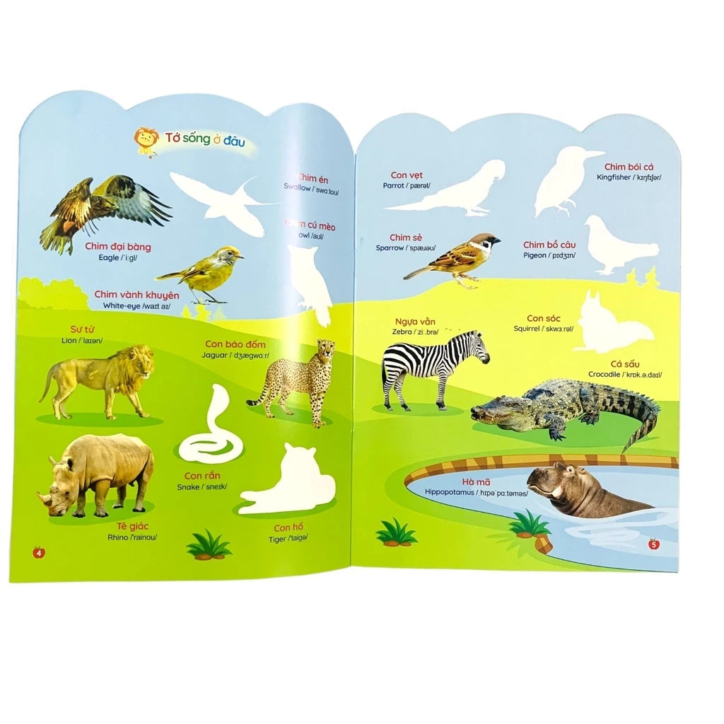 Bóc Dán Thông Minh